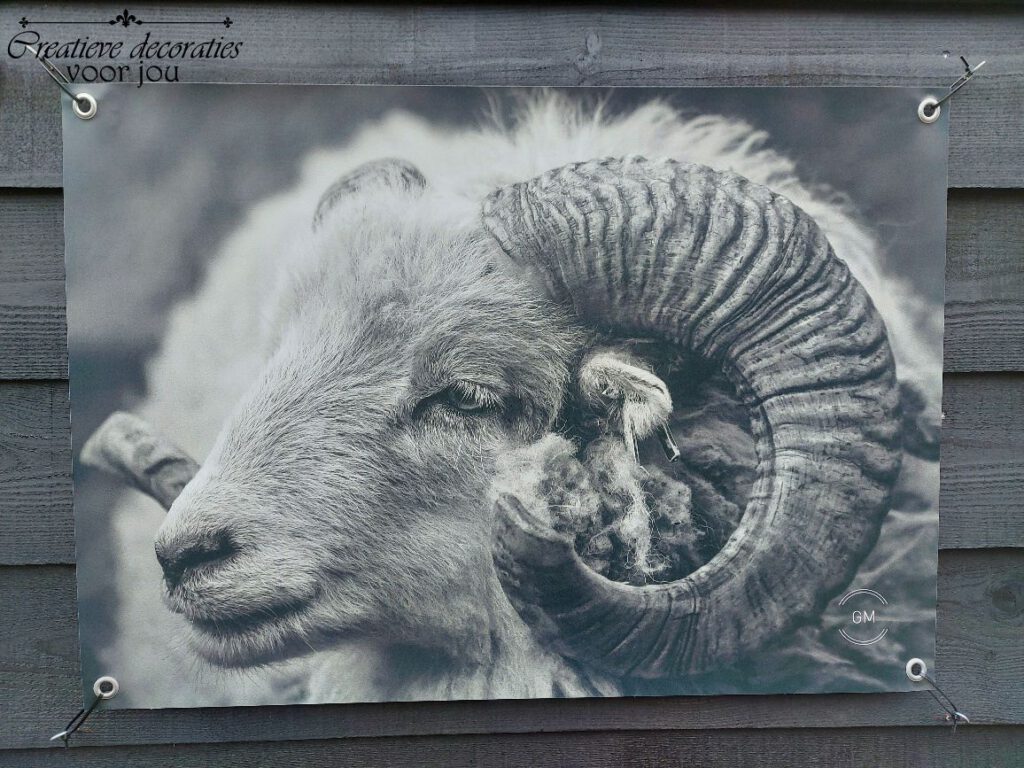 tuinposter ram