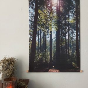 Wanddoek – Bos met zonneschijn