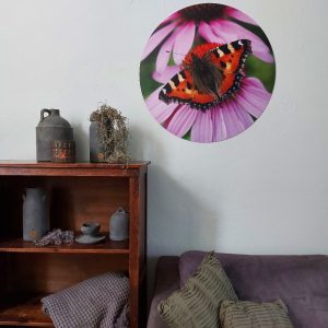 Muurcirkel – Vlinder Kleine Vos – Country Deco