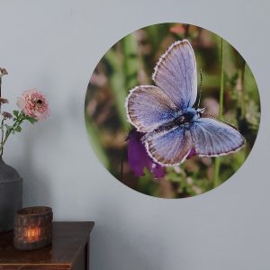 Muurcirkel – Vlinder Heideblauwtje – Country Deco