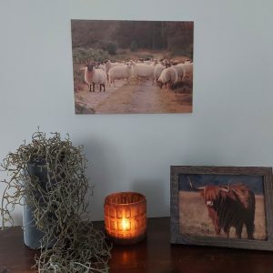 Houten wanddecoratie – Schapen in Exloo
