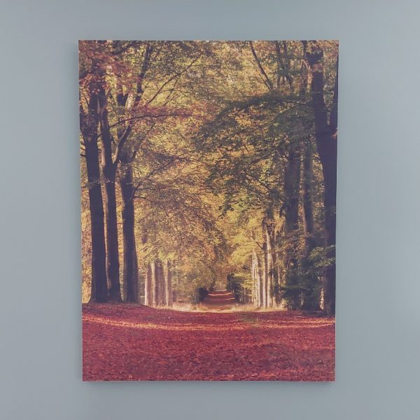 Wanddecoratie van hout met een afbeelding van een bospad in de herfst, van het merk Country Deco.