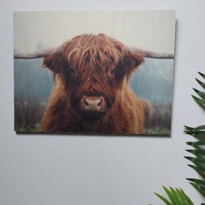 Houten wanddecoratie – Schotse Hooglander in de Herfst