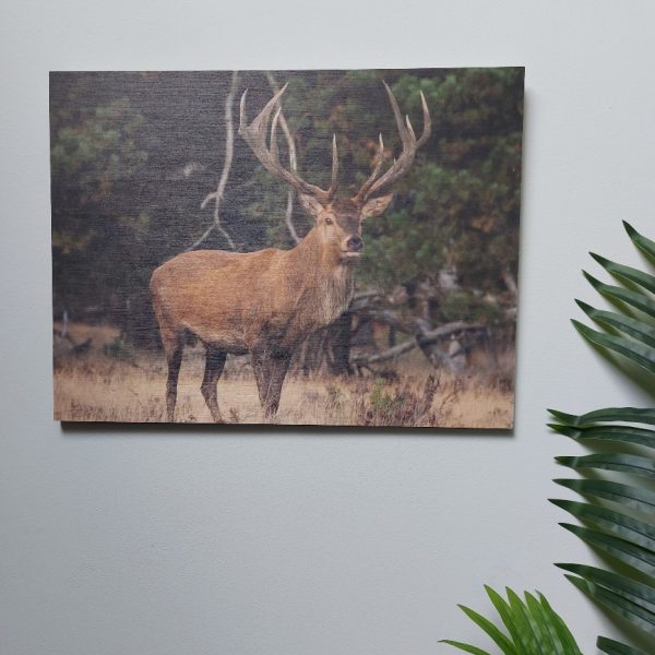 Wanddecoratie van hout met een afbeelding van een hert, van het merk Country Deco.