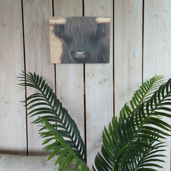 Wanddecoratie van hout met een afbeelding van een Schotse Hooglander, van het merk Country Deco.