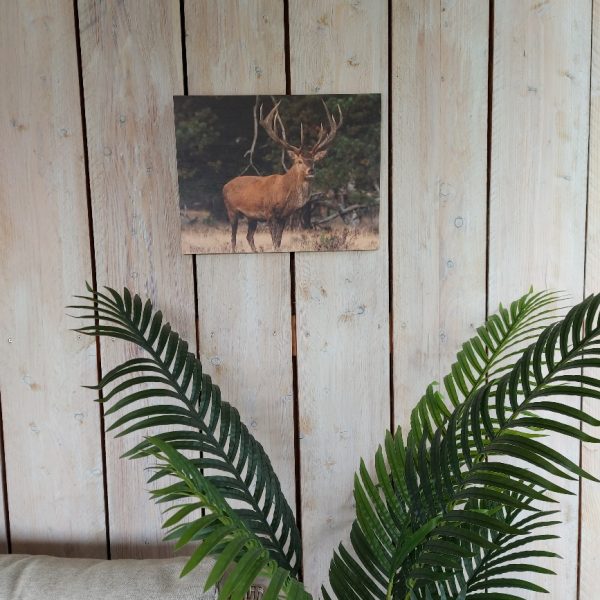 Wanddecoratie van hout met een afbeelding van een hert, van het merk Country Deco.