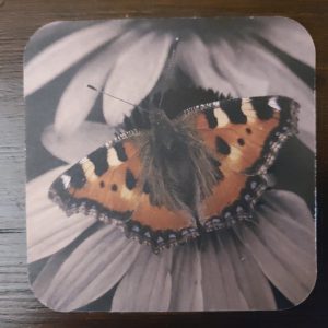 Viltje Vlinder – Onderzetter