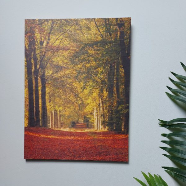 Wanddecoratie van hout met een afbeelding van een bospad in de herfst, van het merk Country Deco.