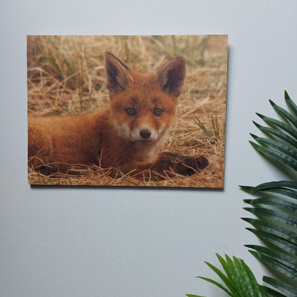 Wanddecoratie van hout met een afbeelding van een jonge vos, van het merk Country Deco.
