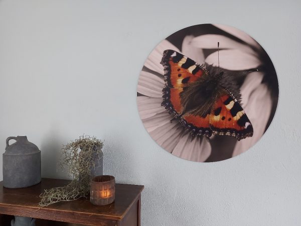 Muurcirkel vlinder sepia - Country Deco