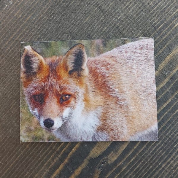 Magneet met een landelijke afbeelding van een vos, van het merk Country Deco.
