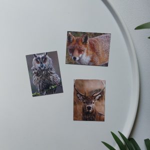 Koelkastmagneten set van drie – Bosdieren – Country Deco
