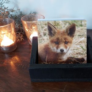 Kunststof onderzetter – Jonge vos