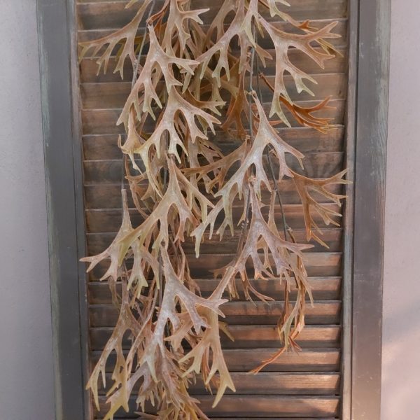 Hertshoorn kunstplant met bruin blad van Brynxz