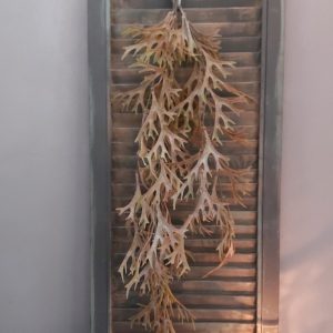 Brynxz – Hertshoorn – Kunstplant – Hangplant – Grijs – 78cm