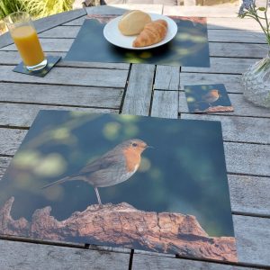 Placemat gelamineerd – Roodborstje