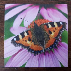 Dibond onderzetter – Vlinder