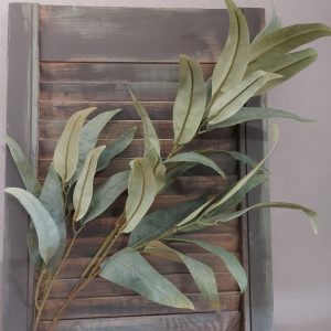 Countryfield – Kunstplant Eucalyptus S – Groen – L.3 B.17 H.103cm