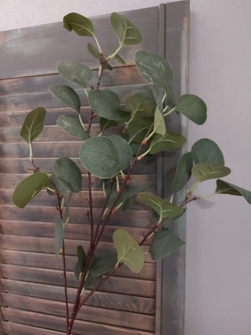 Countryfield - Kunstbloem Eucalyptus rond blad
