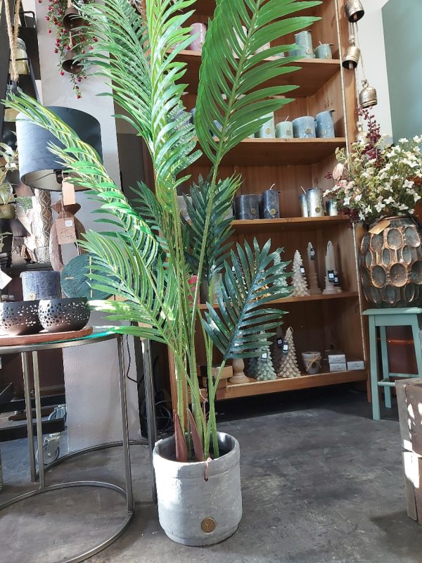 Countryfield - Palmboom kunstplant Areca