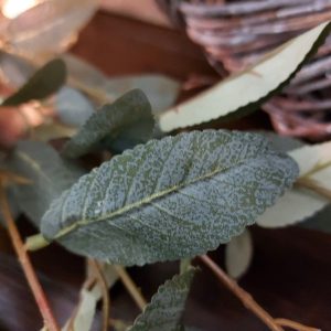 Brynxz – Wilg twijg – Salix kunstplant – Groen – 102cm