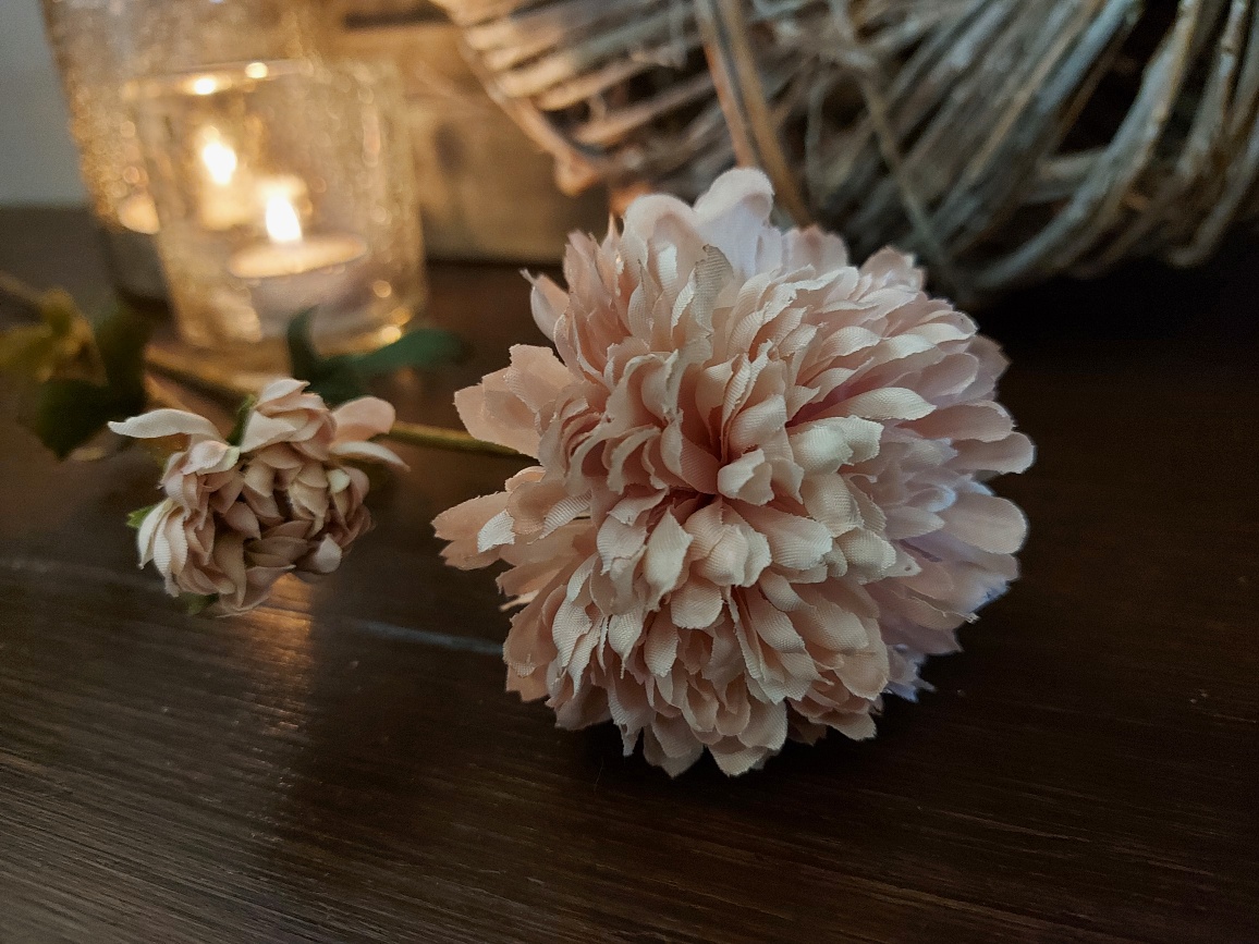 Brynxz - Chrysantemum pink
