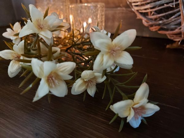 Brynxz - Meadow herb with flowers cream