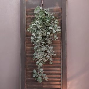 Brynxz – Hangplant – Groengrijs – L. 80cm