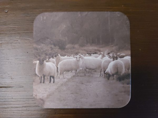 Viltje Schaapskudde - Onderzetter schapen