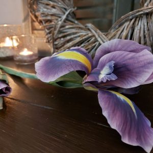 Brynxz – Aubergine Iris – Zijdenbloem – L.79cm