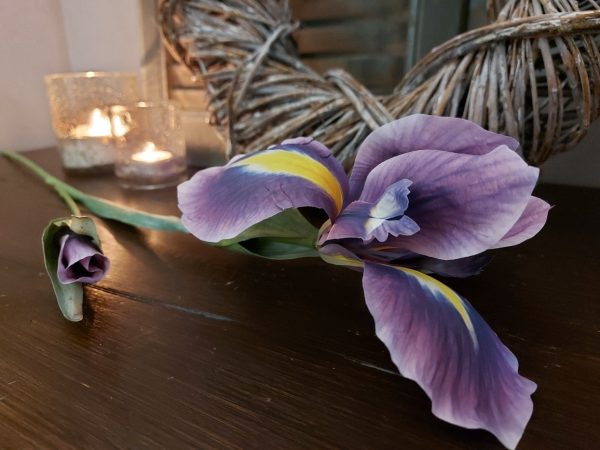 Brynxz Iris spray aubergine 79cm - Zijdenbloem paarse Iris