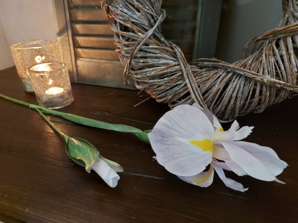Brynxz zijden bloem Iris paars