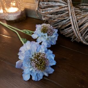 Brynxz – Blauwe Scabiosa – Zijdenbloem – L.64cm