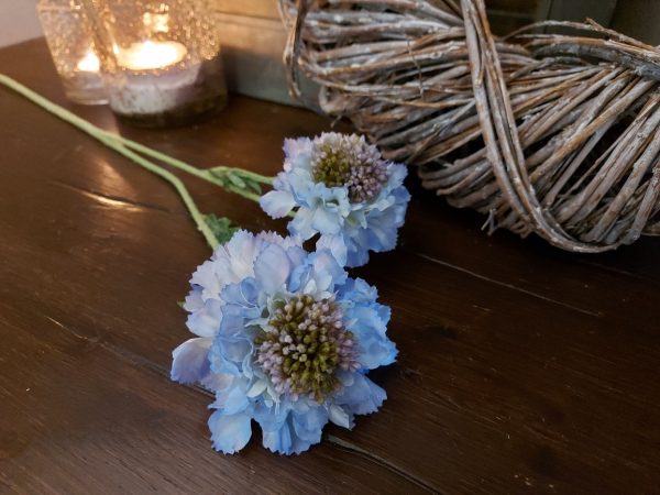 Brynxz Scabiosa with 2 flower 64cm bleu - kunstbloem druifkruid