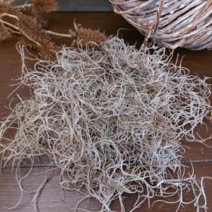 Vers gedroogde Tillandsia – Tillandsia mos