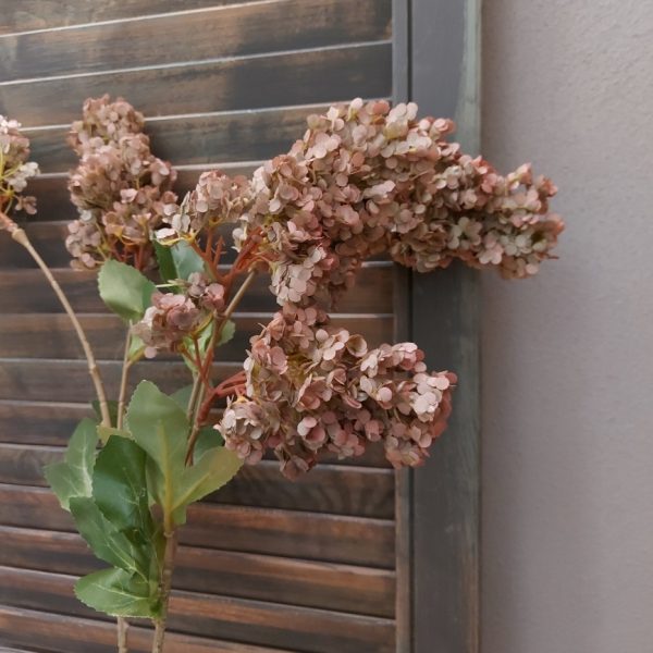 Pluimhortensia zijdenbloem met 5 volle bloemtrossen van Brynxz