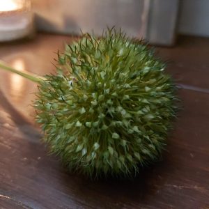 Brynxz – Allium kunstbloem – Groen – L.75cm