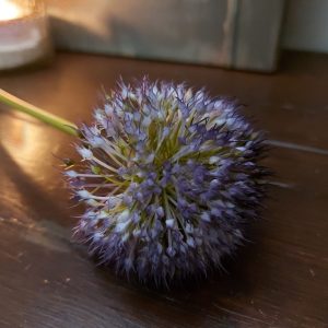 Brynxz – Allium kunstbloem – Paars blauw – L.75cm
