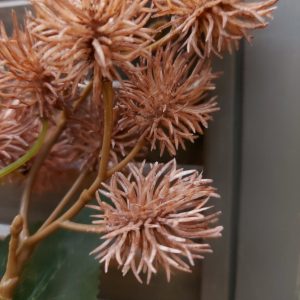 Brynxz – Mulberry zijdenbloem – Bruin – L.76cm