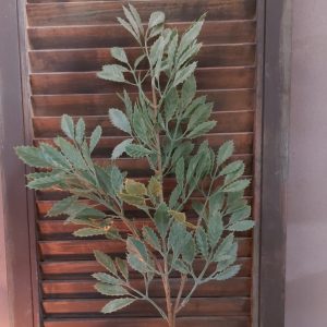 Brynxz – Leucothoe – Kunstplant – L.62cm