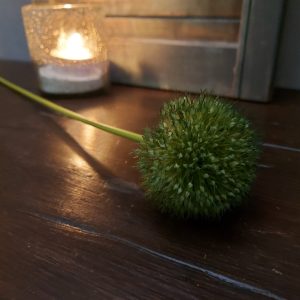 Brynxz – Allium kunstbloem – Groen – L.75cm