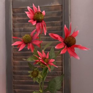 Countryfield – Rode Zonnehoed Echinacea zijden bloem – Roze – L.5 B.20 H.70cm