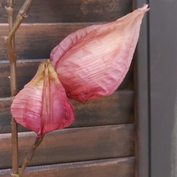 Lampionnenplant twijg zijdenbloem in een roze paarse kleur van het merk Countryfield.