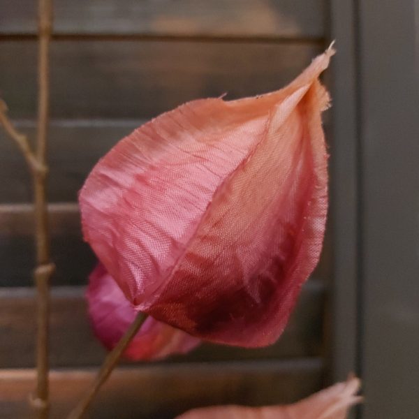 Lampionnenplant twijg zijdenbloem in een roze paarse kleur van het merk Countryfield.