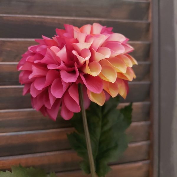 Dahlia zijdenbloem in een paarse kleur van het merk Countryfield.