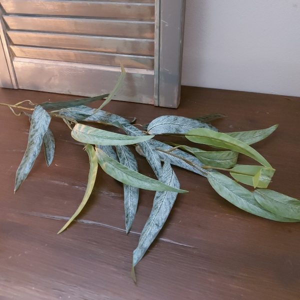 Zijdenbloem twijg eucalyptus met lang smal blad in een groene kleur, van het merk Countryfield.