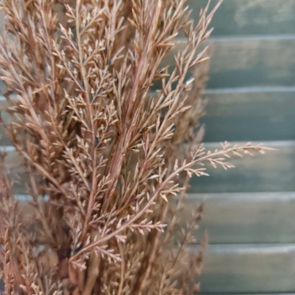 Pampas graspluim kunstplant in een warme bruine kleur van het merk Countryfield.