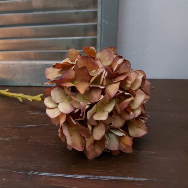 Zijden hortensia in een bruine kleur van het merk Countryfield.