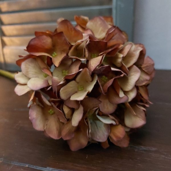 Zijden hortensia in een bruine kleur van het merk Countryfield.