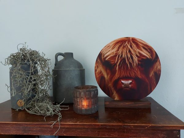 Muurcirkel - Schotse Hooglander kalf - Country Deco - Afbeelding 4